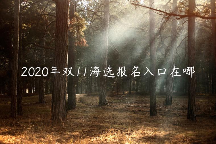 2023年雙11海選報(bào)名入口在哪